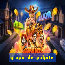 grupo de palpite de futebol telegram